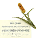 Gone to Seed Single Seed Brooch Pin by Michael Michaud Nature Silver Seasons 5971 - ILoveThatGift