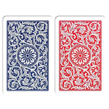 Canasta Set: Copag Double PLASTIC Card Decks Tray Card Holder Point Summary Tote Bag